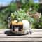 Cute Animal Mini Succulent Planter Resin Desk Plant Pot For Home Decor 1