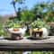 Cute Animal Mini Succulent Planter Resin Desk Plant Pot For Home Decor 0