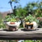 Cute Animal Mini Succulent Planter Resin Desk Plant Pot For Home Decor 0