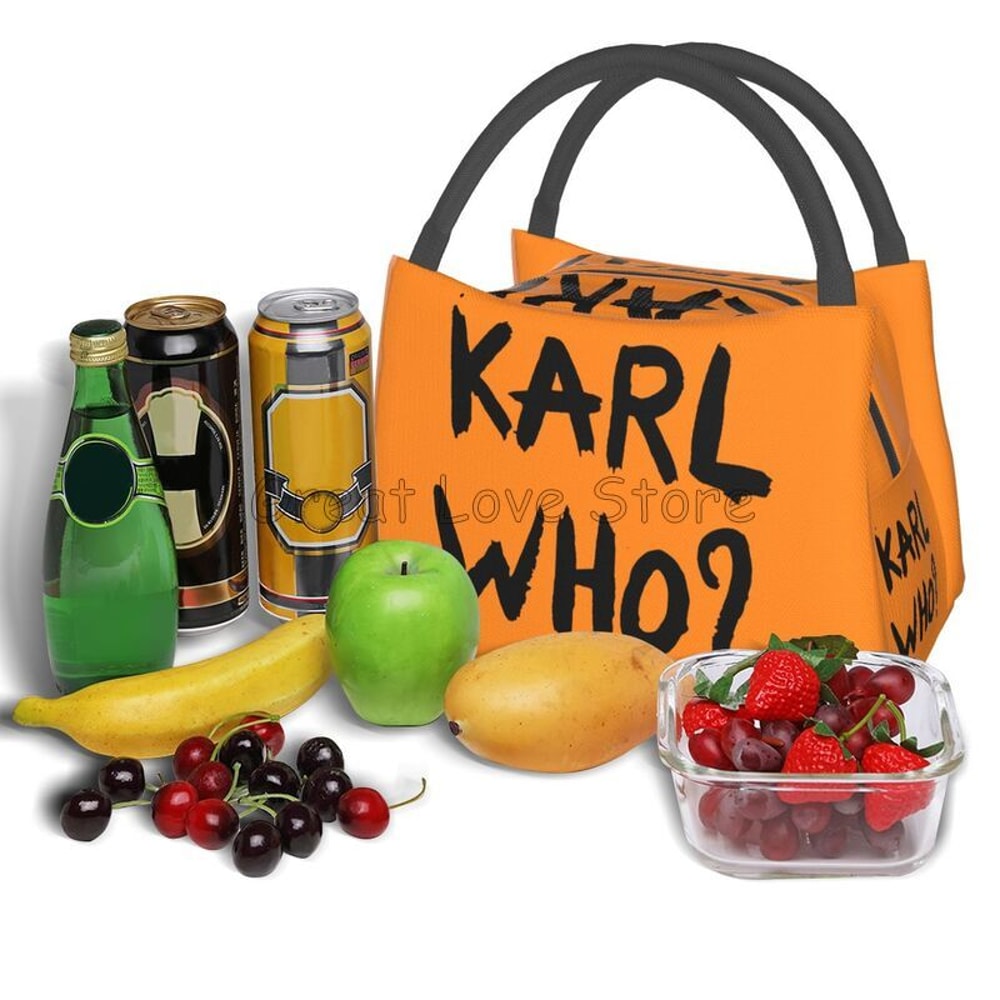 Insulated Lunch Bag Reusable Waterproof Cooler Tote For Work Travel Picnic 6