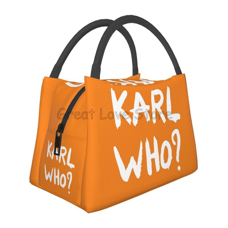 Insulated Lunch Bag Reusable Waterproof Cooler Tote For Work Travel Picnic 9