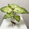 Artificial Lotus Leaves Plant Decor With Roots For Garden Pond Wedding Table Greenery 0