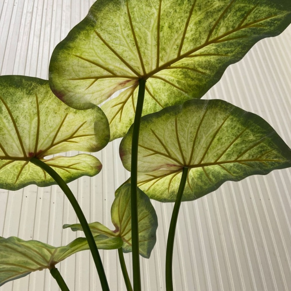 Artificial Lotus Leaves Plant Decor With Roots For Garden Pond Wedding Table Greenery 2