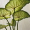 Artificial Lotus Leaves Plant Decor With Roots For Garden Pond Wedding Table Greenery 2