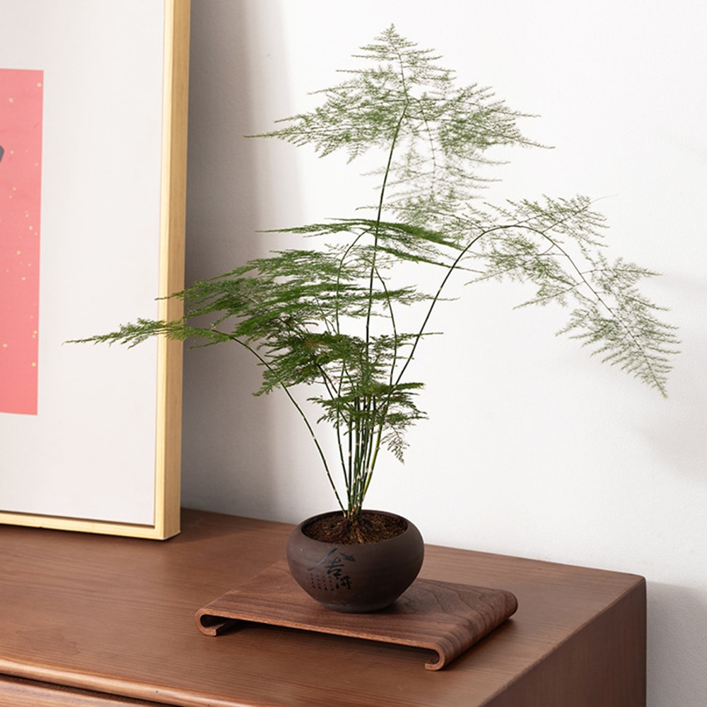 Retro Wooden Serving Tray Decorative Display Rack for Coffee Table Heat Resistant Thick Wooden Tray