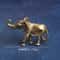 Handcrafted Brass Elephant Figurine Lucky Mini Elephant Decor for Home and Desk