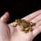 Feng Shui Money Toad Brass Statue Lucky Wealth Decor For Home Office 1