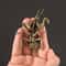 Brass Mantis Figurine Antique Copper Praying Mantis Statue Desk Collectible 6