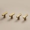 Modern Brass T-Bar Cabinet Handles Minimalist Drawer Knobs for Kitchen and Furniture