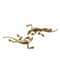 Brass Gecko Cabinet Handle Decorative Drawer Pull for Furniture Upgrade