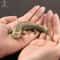 Solid Brass Giant Salamander Figurine Vintage Animal Desk Ornament 0