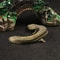 Solid Brass Giant Salamander Figurine Vintage Animal Desk Ornament 2