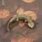 Solid Brass Giant Salamander Figurine Vintage Animal Desk Ornament 3
