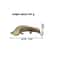 Solid Brass Giant Salamander Figurine Vintage Animal Desk Ornament 4