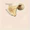 Ginkgo Leaf Drawer Pulls Modern Cabinet Handles Decorative Furniture Hardware 5