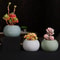 Chinese Ceramic Bonsai Pot With Drainage Hole Decorative Indoor Planter 0