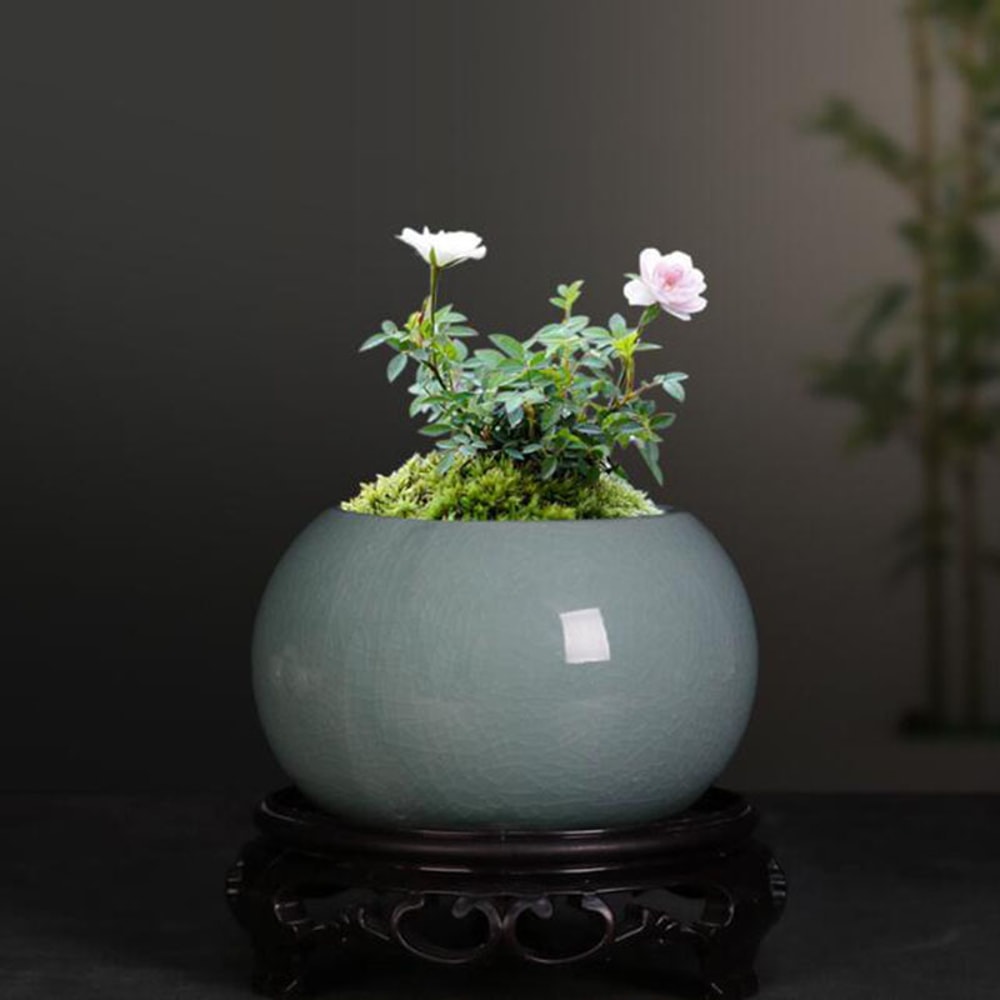 Chinese Ceramic Bonsai Pot With Drainage Hole Decorative Indoor Planter 2