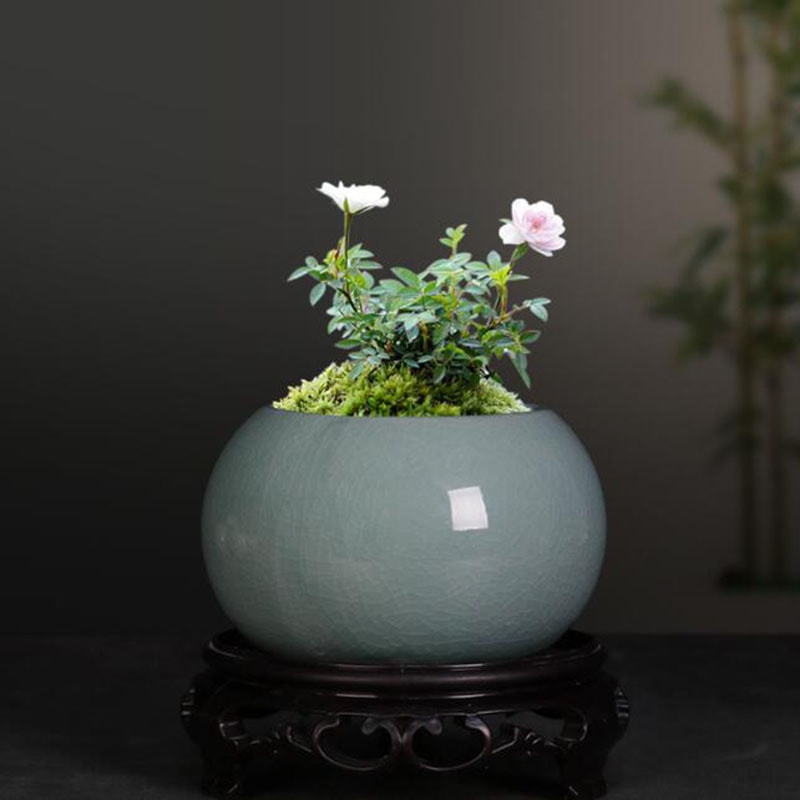 Chinese Ceramic Bonsai Pot With Drainage Hole Decorative Indoor Planter 2