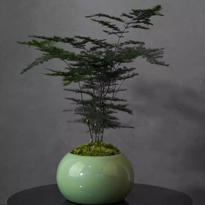 Chinese Ceramic Bonsai Pot With Drainage Hole Decorative Indoor Planter 3