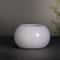 Chinese Ceramic Bonsai Pot With Drainage Hole Decorative Indoor Planter 7