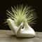 Minimalist Ceramic Air Plant Holder for Tillandsia Desk Decor