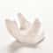 Minimalist Ceramic Air Plant Holder for Tillandsia Desk Decor