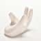Minimalist Ceramic Air Plant Holder for Tillandsia Desk Decor