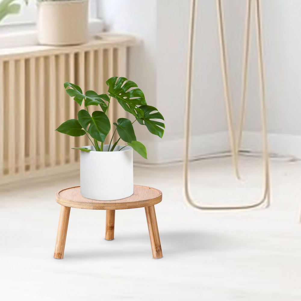 Mini Wooden Plant Stand Riser For Pots Bonsai Home Decor Display 1