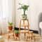 Mini Wooden Plant Stand Riser For Pots Bonsai Home Decor Display 2