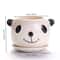 Cute Cartoon Ceramic Succulent Planter Pot Lightweight Breathable Indoor Plant Decor 5