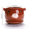 Cute Cartoon Ceramic Succulent Planter Pot Lightweight Breathable Indoor Plant Decor 8