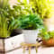 Solid Wood Round Plant Stand Indoor Decorative Flower Pot Display Rack
