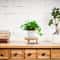 Solid Wood Round Plant Stand Indoor Decorative Flower Pot Display Rack