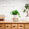 Solid Wood Round Plant Stand Indoor Decorative Flower Pot Display Rack