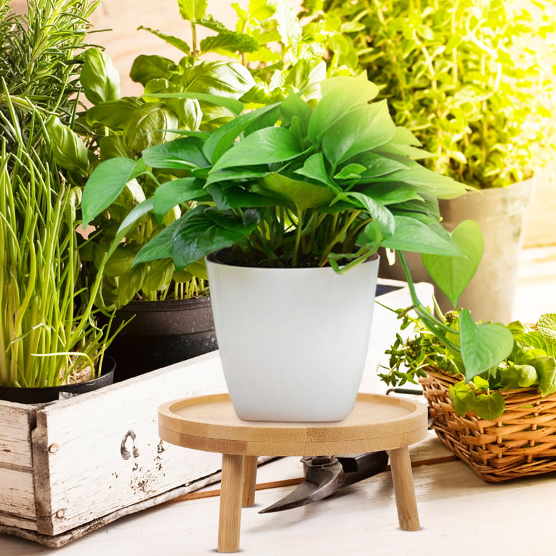 Solid Wood Round Plant Stand Indoor Decorative Flower Pot Display Rack