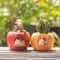 FruitInspired Succulent Planter Pots Cute Decorative Resin Flower Pots For Desk And Home Decor 0