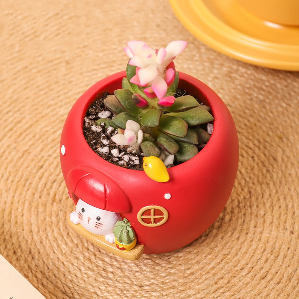 FruitInspired Succulent Planter Pots Cute Decorative Resin Flower Pots For Desk And Home Decor 1