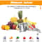 High-Pressure Manual Citrus Juicer Heavy Duty Lemon Squeezer Stainless Steel Extractor