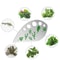 Multifunctional Stainless Steel Herb Stripper & Vegetable Leaf Remover