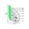 Multifunctional Stainless Steel Herb Stripper & Vegetable Leaf Remover