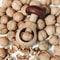 Mushroom Nutcracker Adjustable Nut Tongs Multifunctional Kitchen Tool 3