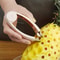 Stainless Steel Pineapple Eye Remover and Potato Eye Peeler Tool