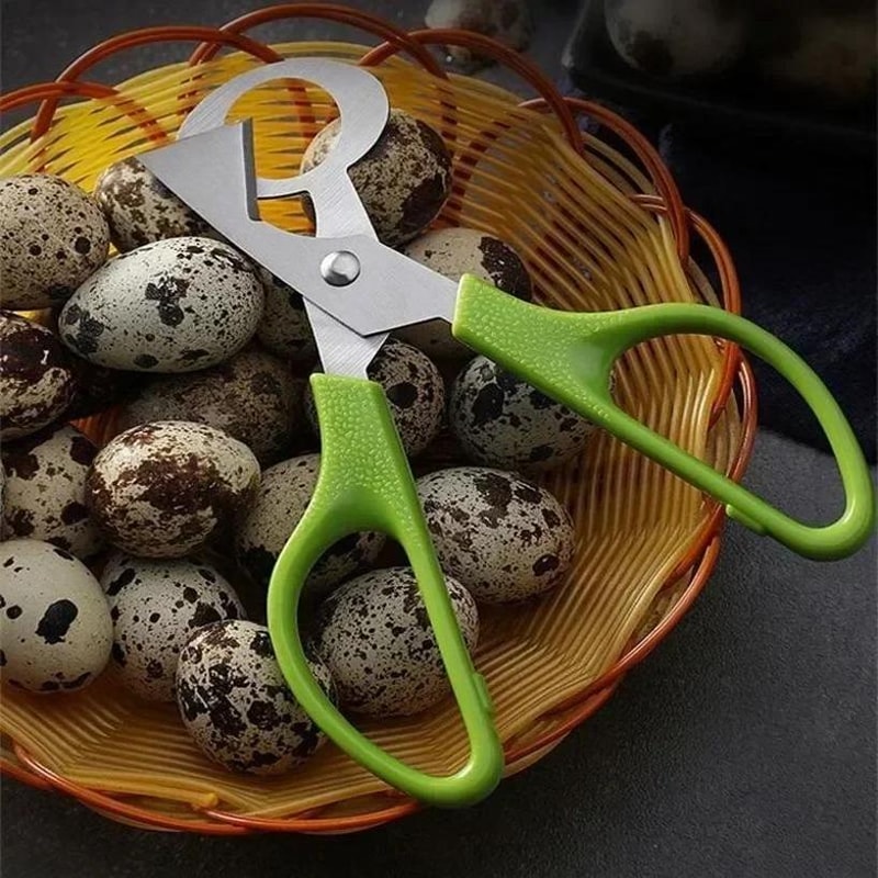 Precision Quail Egg Cutter Scissors for Clean Shell Cracking and Easy Kitchen Prep