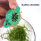 Stainless Steel Green Onion Slicer and Herb Shredder for Fast Kitchen Prep