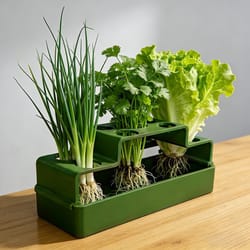 freshroot green onion planter hydroponic regrow kit for indoor kitchen gardening