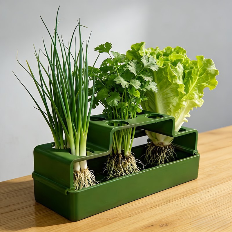 FreshRoot Green Onion Planter Hydroponic Regrow Kit For Indoor Kitchen Gardening 0