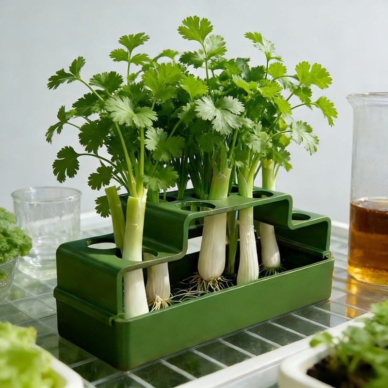 FreshRoot Green Onion Planter Hydroponic Regrow Kit For Indoor Kitchen Gardening 1