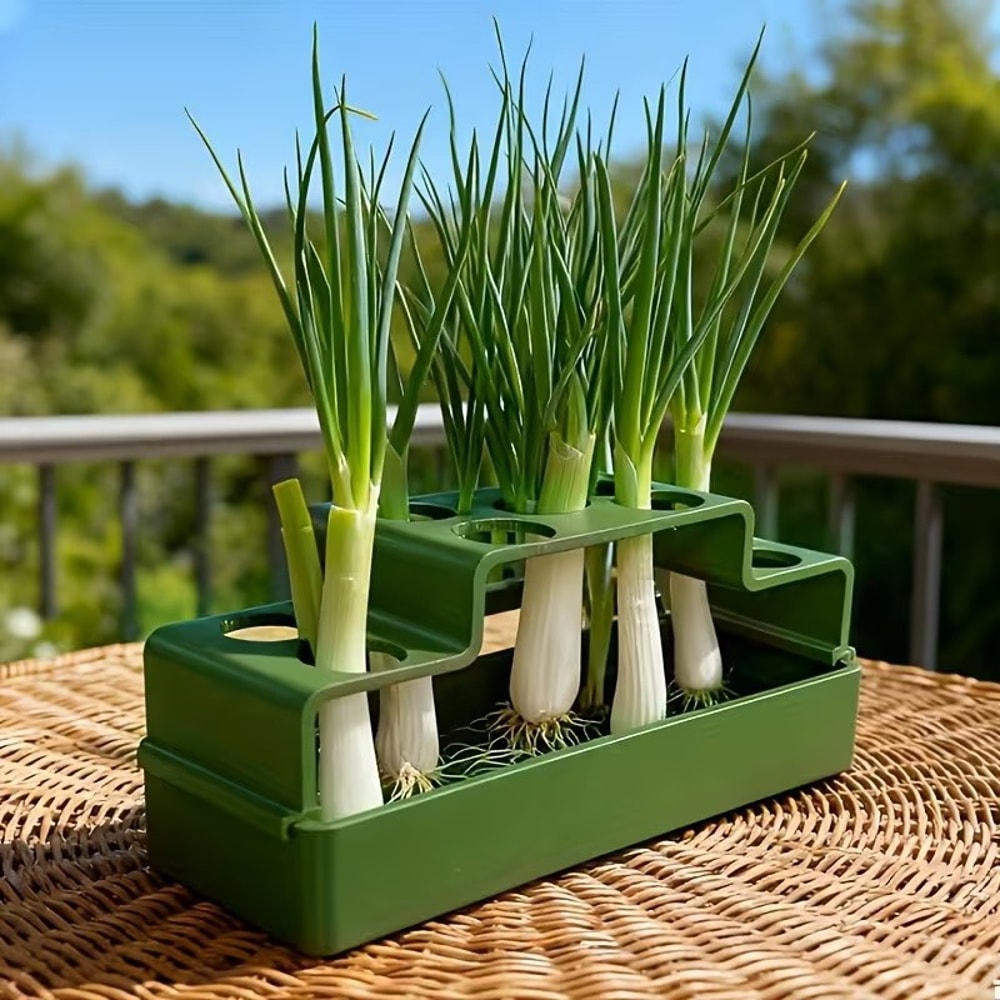 FreshRoot Green Onion Planter Hydroponic Regrow Kit For Indoor Kitchen Gardening 2