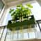 FreshRoot Green Onion Planter Hydroponic Regrow Kit For Indoor Kitchen Gardening 3