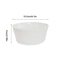 Elegant Hydroponic Planter Glass Hyacinth Vase for Indoor Bulb Gardening